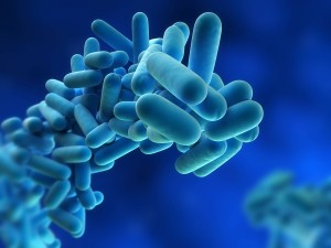 Risk Assessment for Legionella Bacteria 